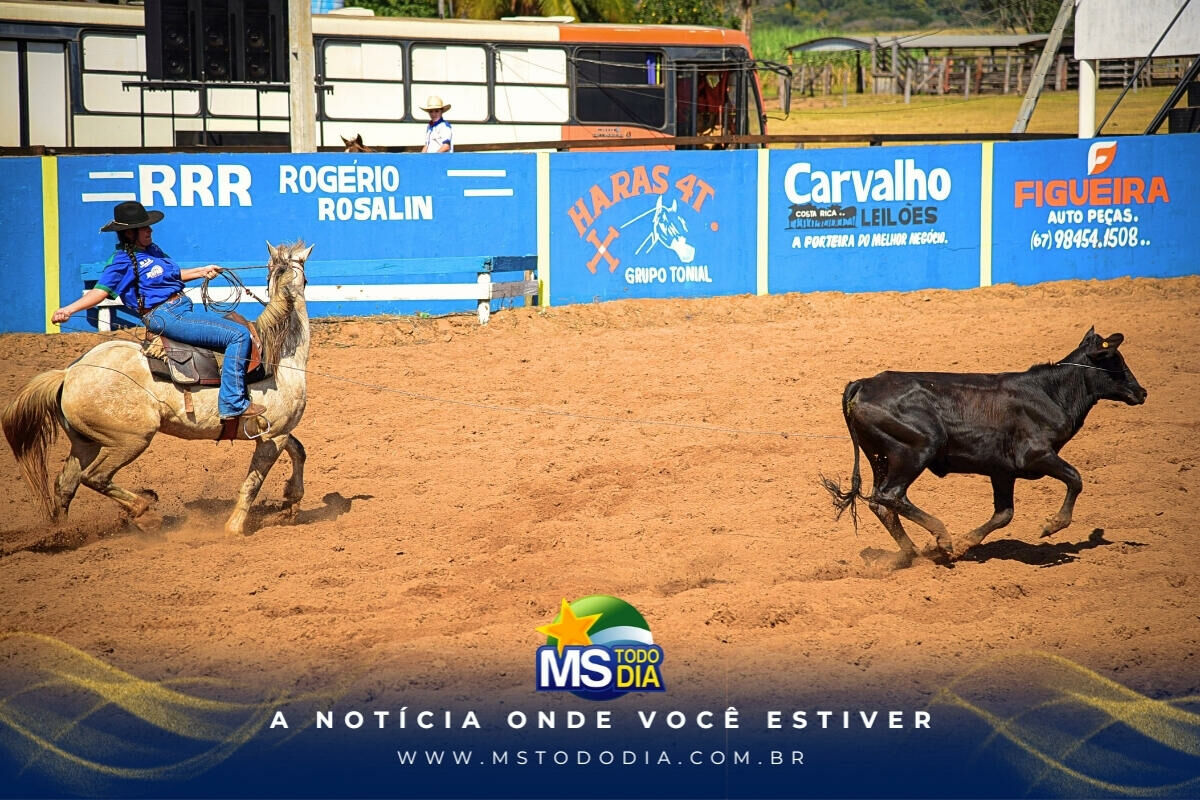 Imagem da Galeria